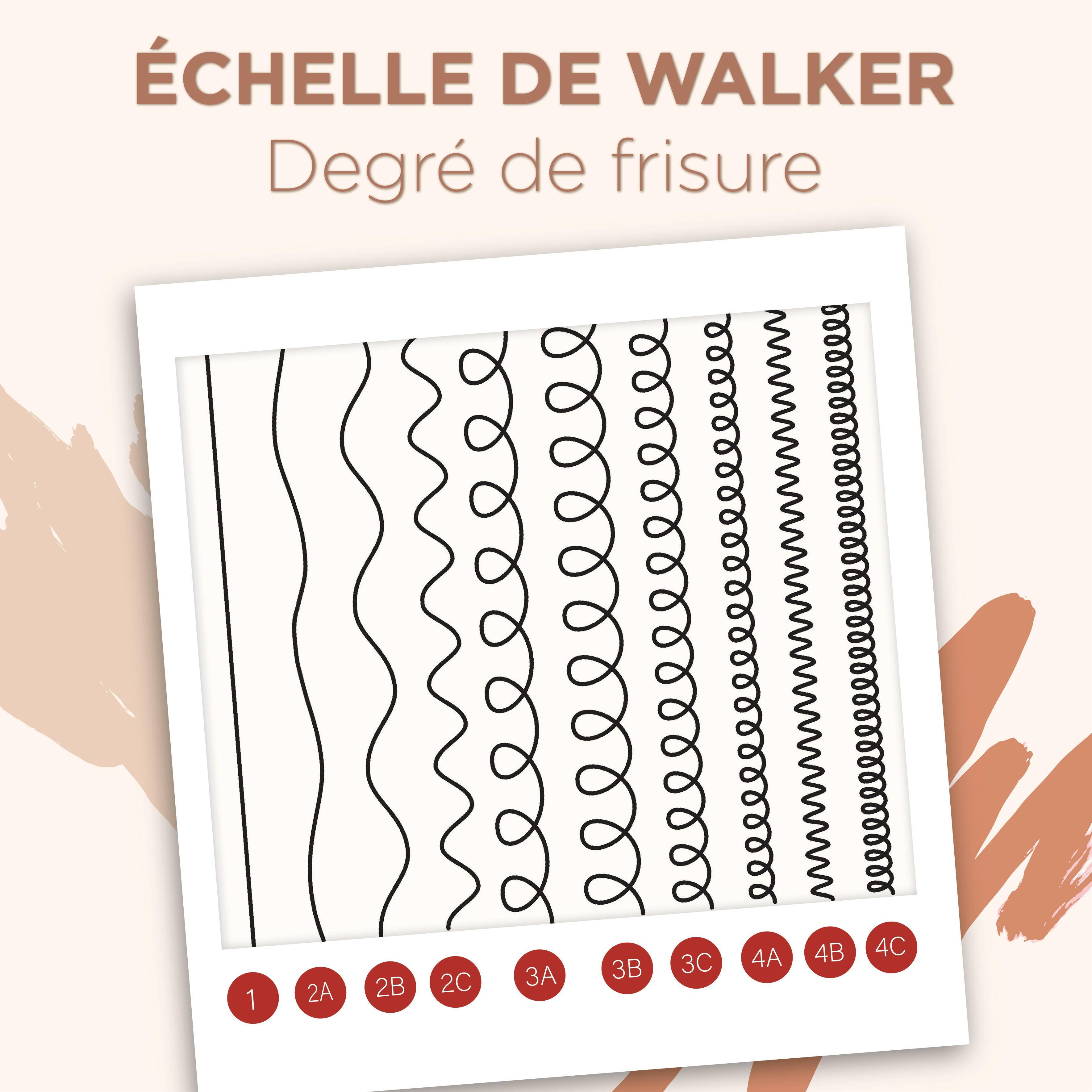 echelle de walker degres de frisure